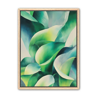 Calla lilies among green shadows