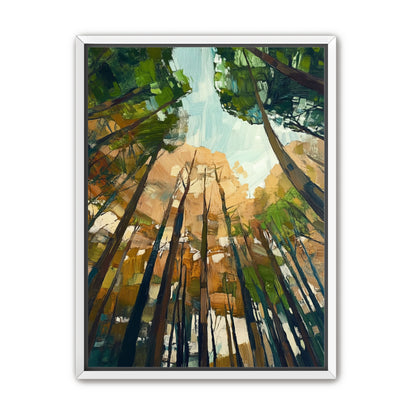 Canopy Lightfall