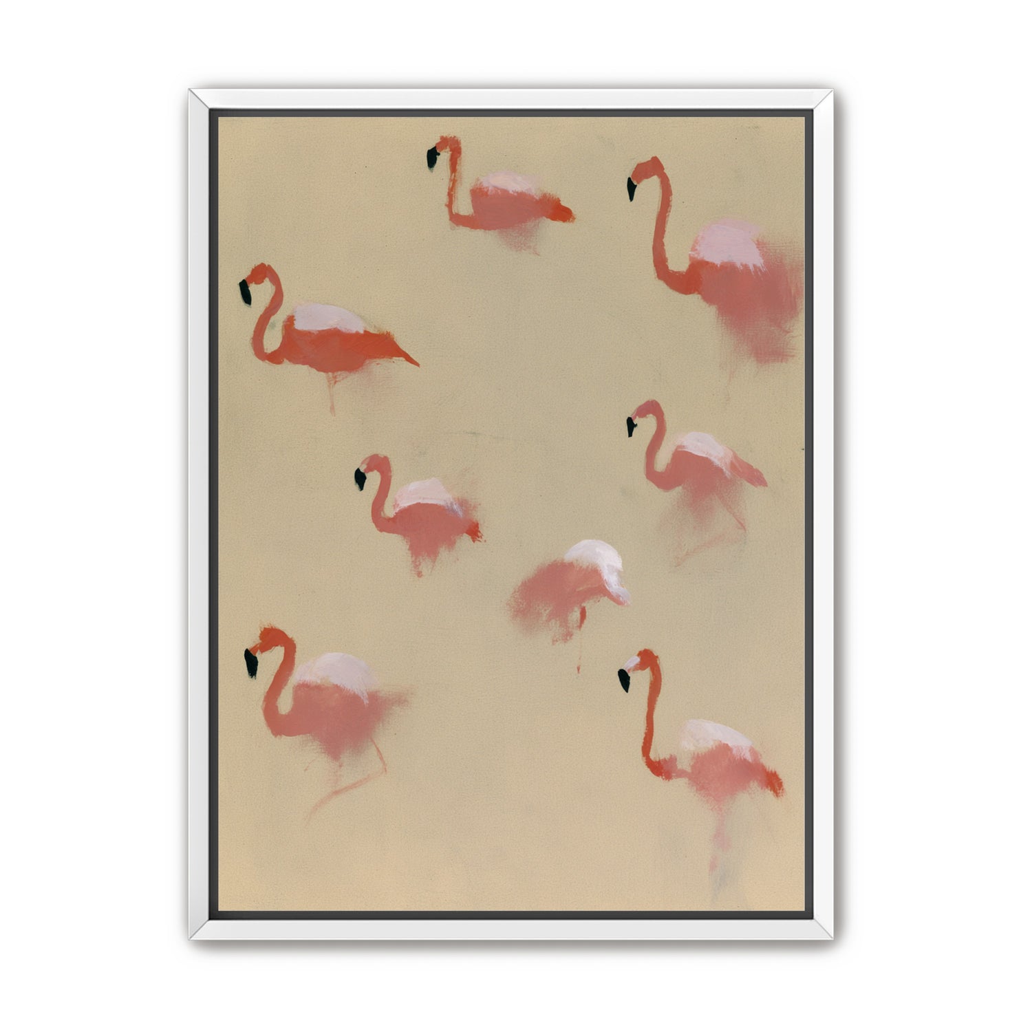 Flamingos in quiet drift
