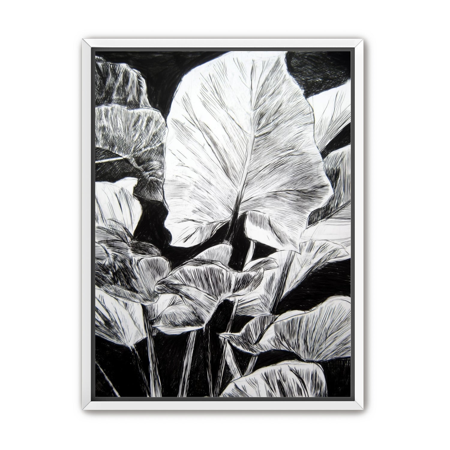 A Cluster of Leaves