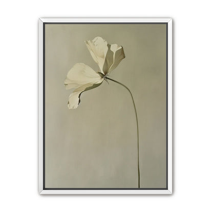 Cream petals in gray green air