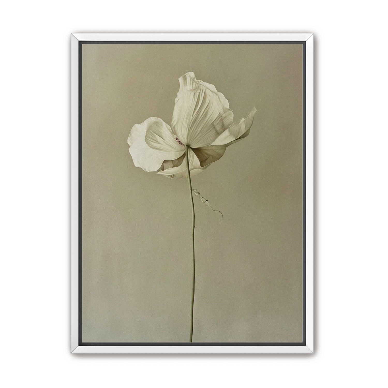 Ivory bloom in gray air