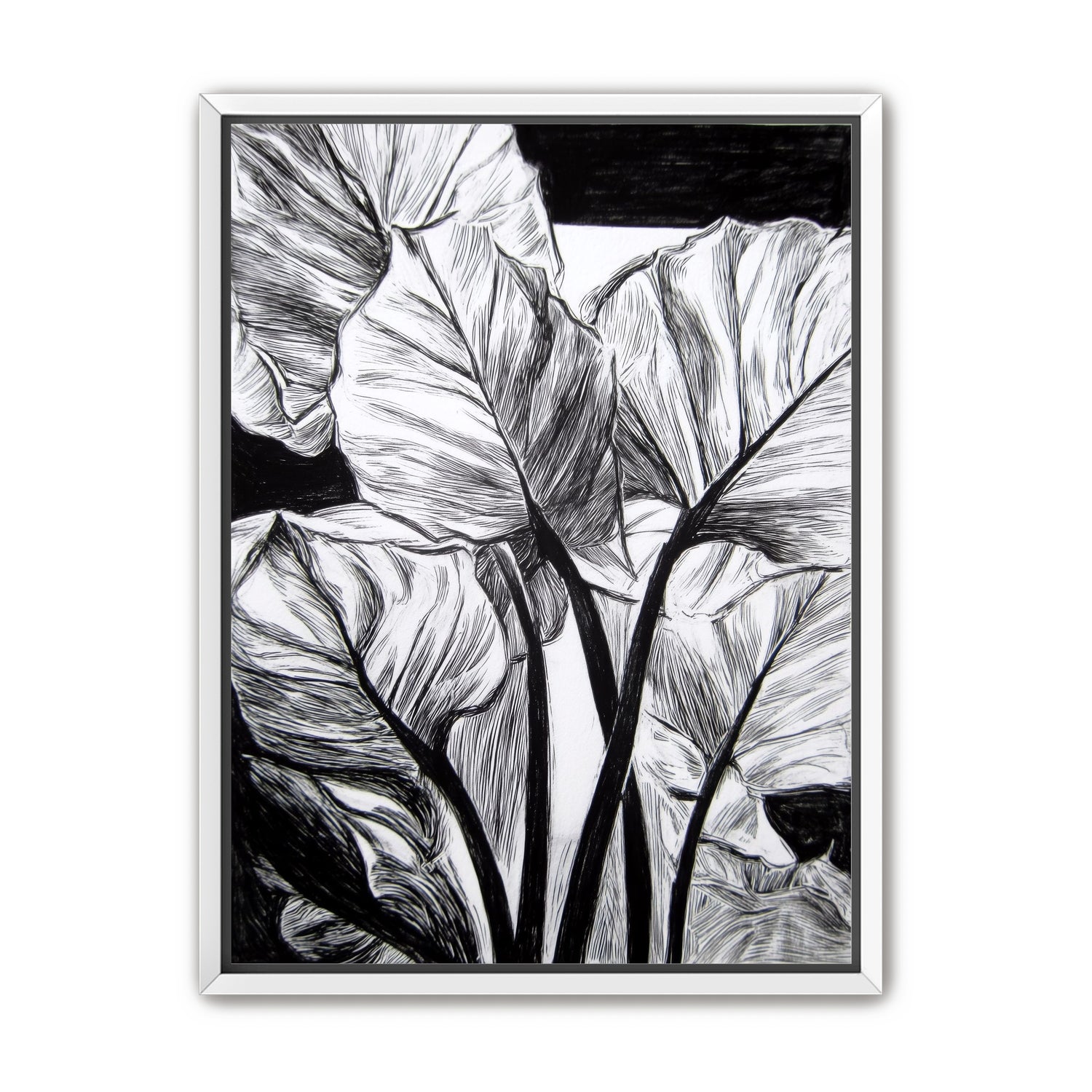 Overlapping Leaves on Dark Ground