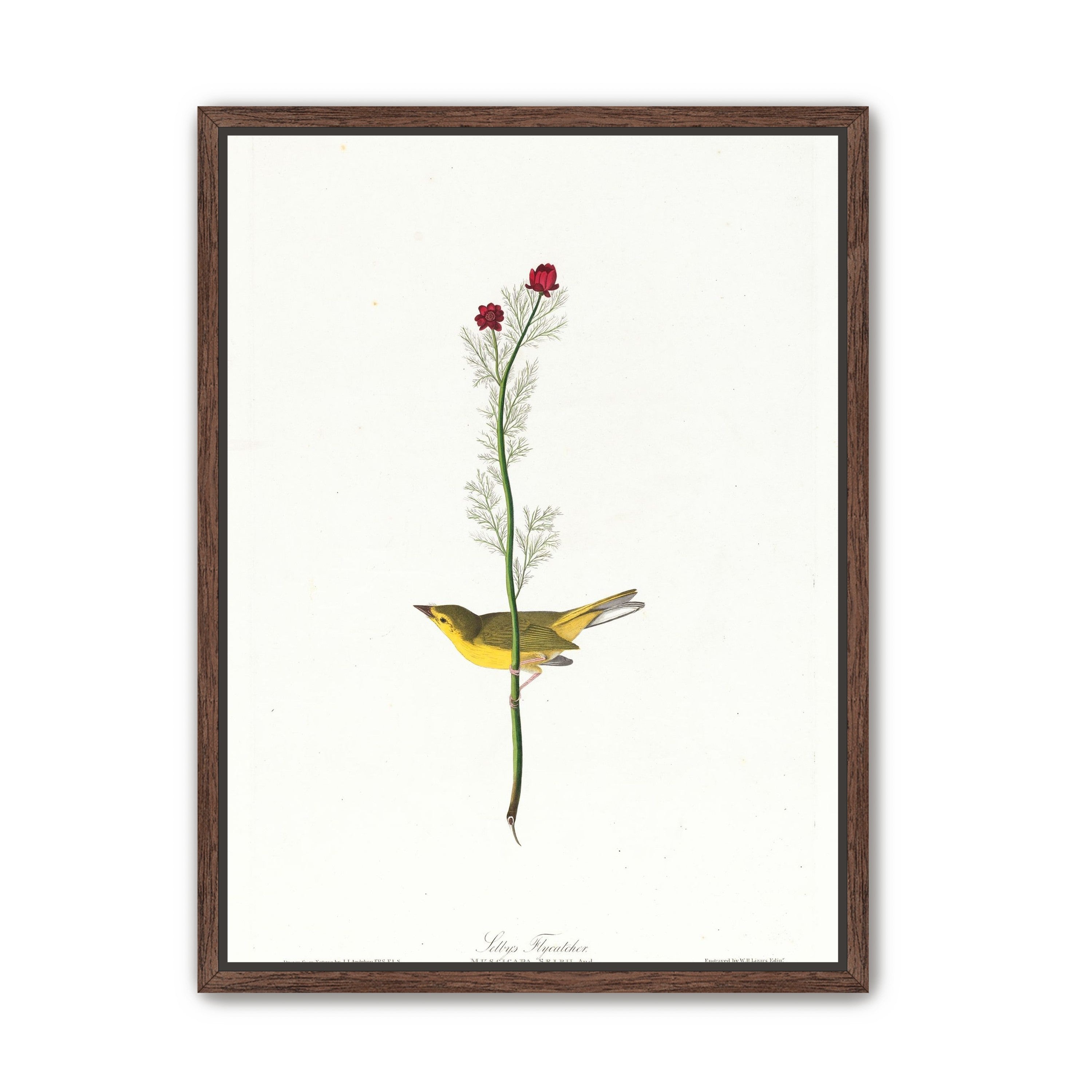A yellow bird beneath red blooms