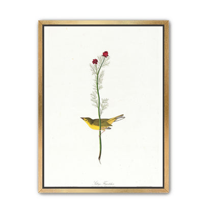 A yellow bird beneath red blooms