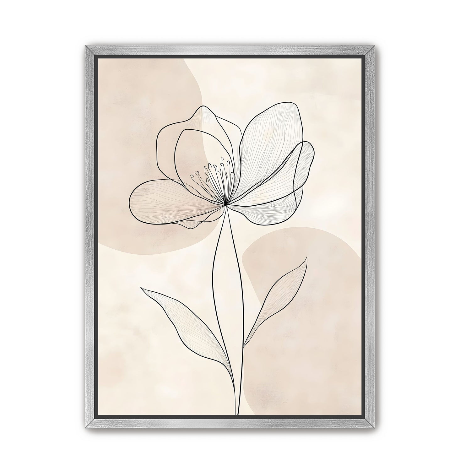 Single Bloom