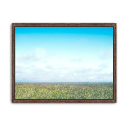 Grasslands