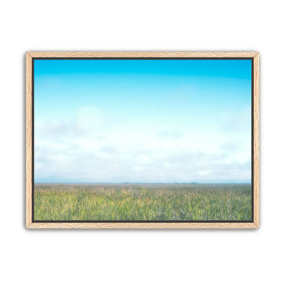 Grasslands