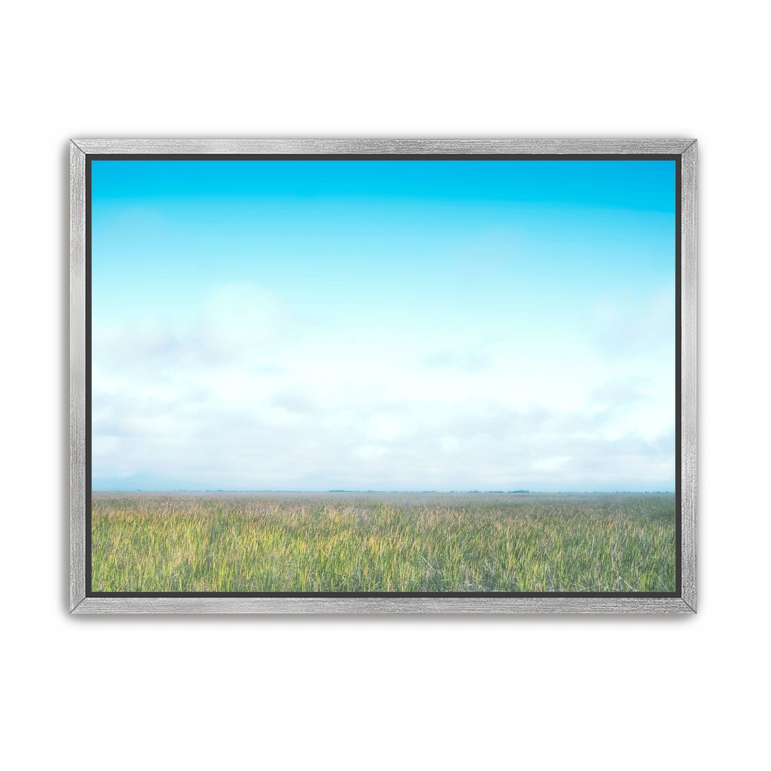 Grasslands