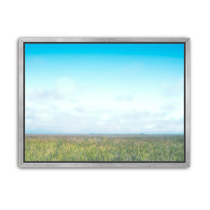 Grasslands