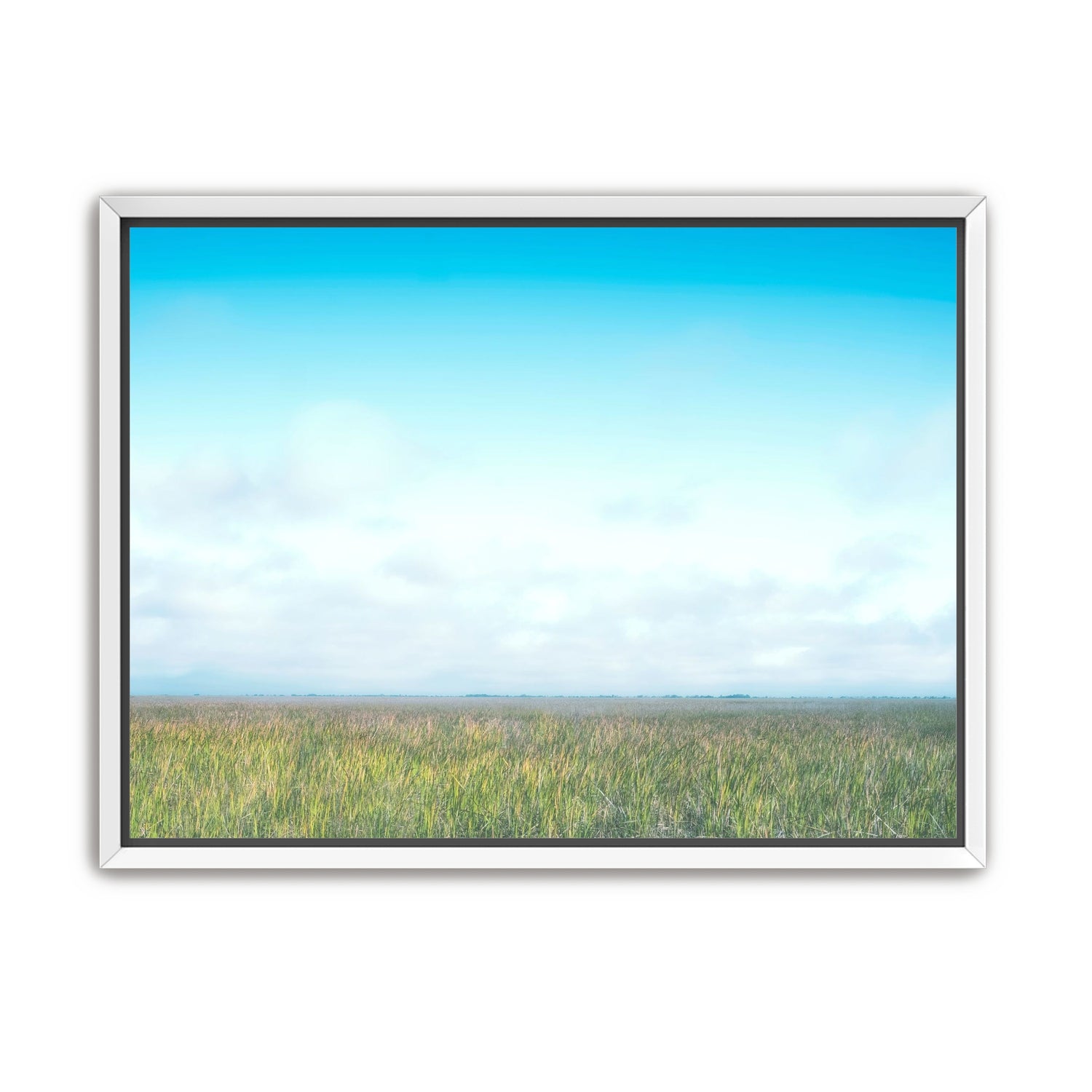 Grasslands