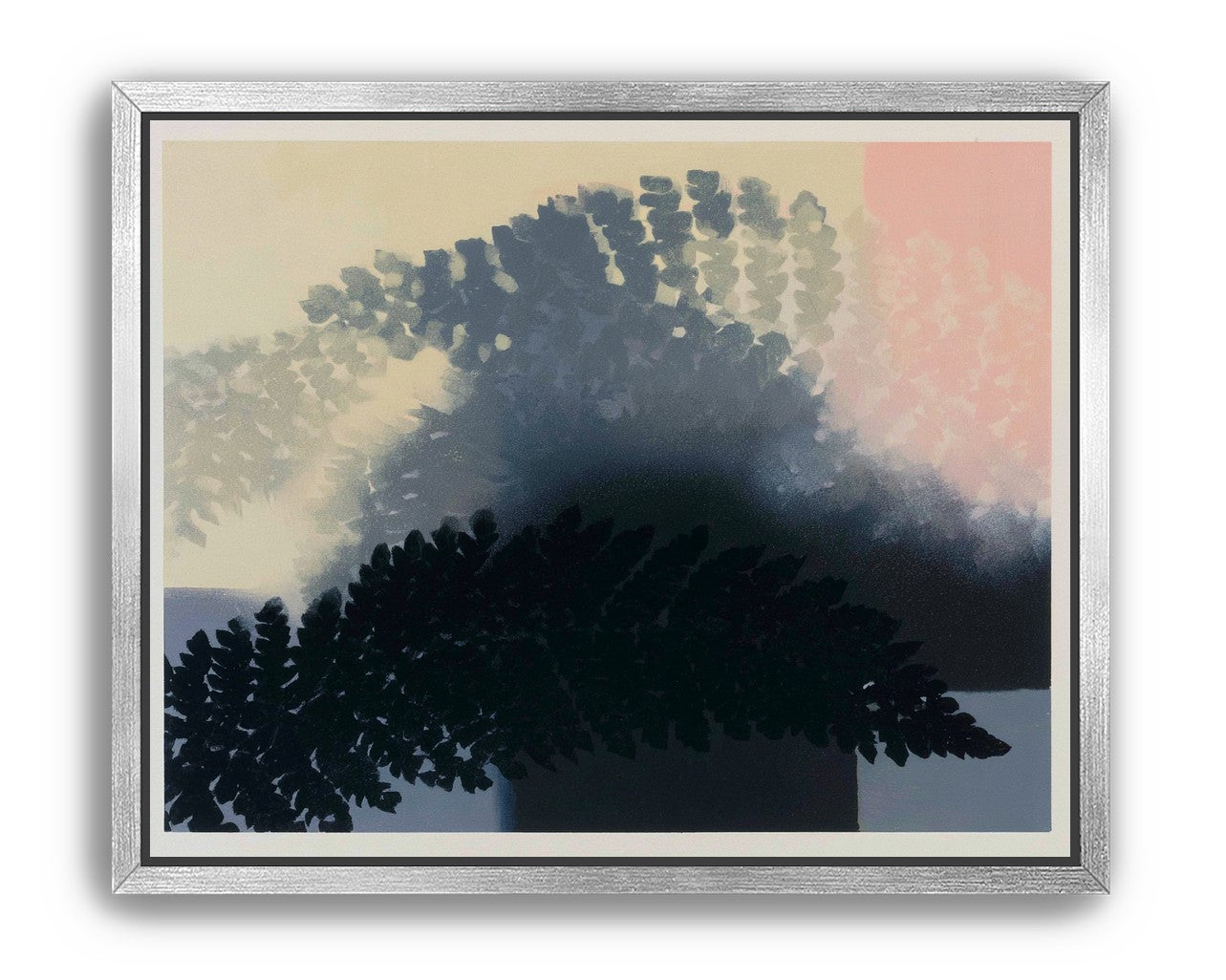 Tree shadow across the sky