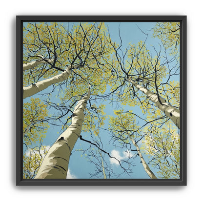 Yellow Leaves Against the Sky