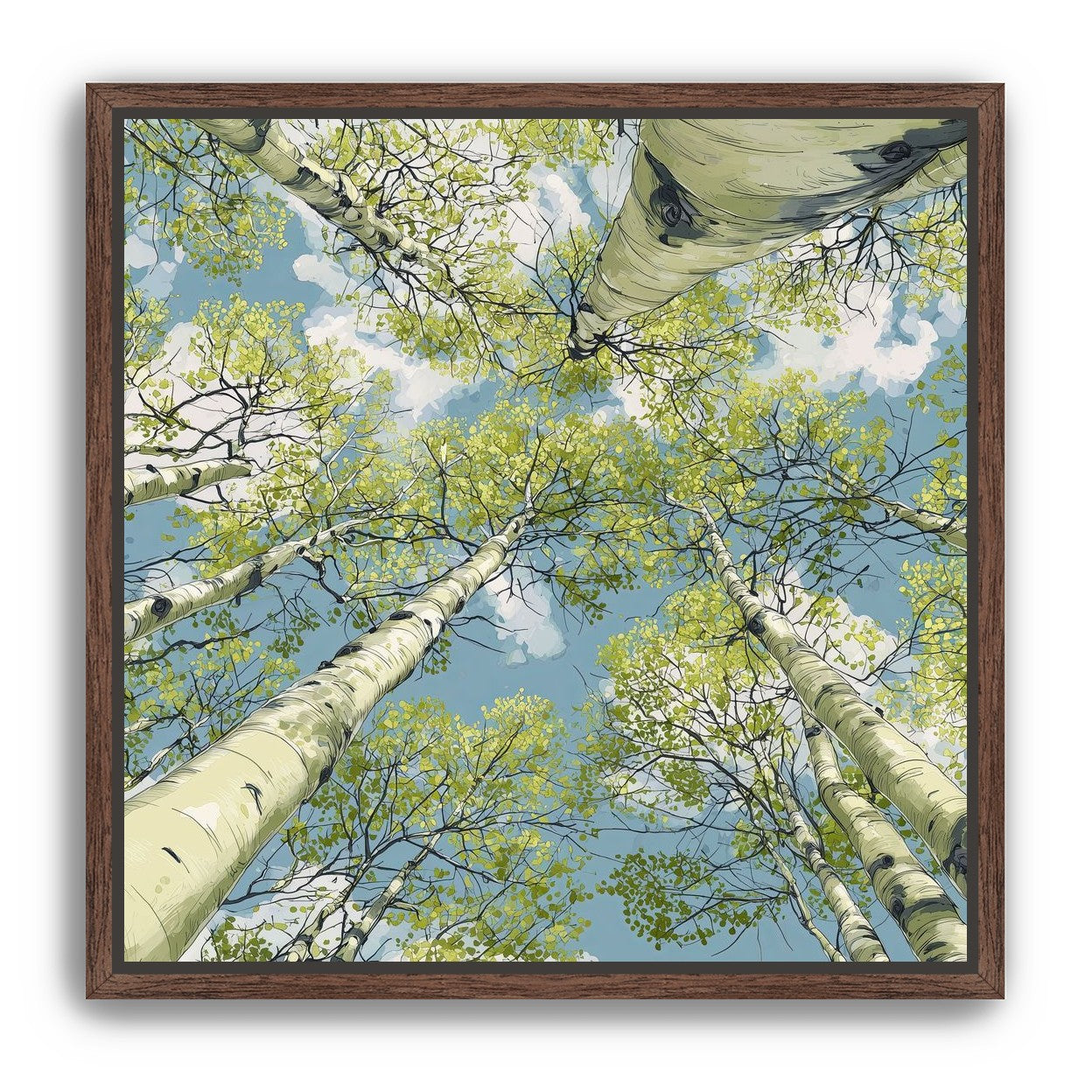 Aspen Canopy I