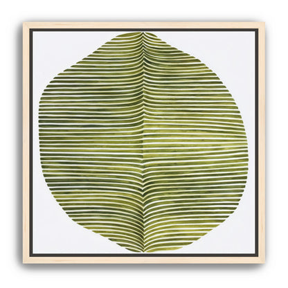 Dark green stripes crease inward