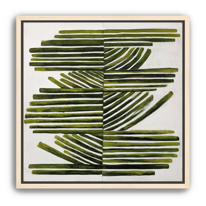 Olive bands with arcs