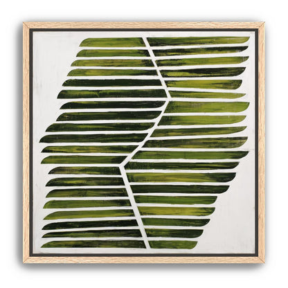 Leaf ribs around a white vein