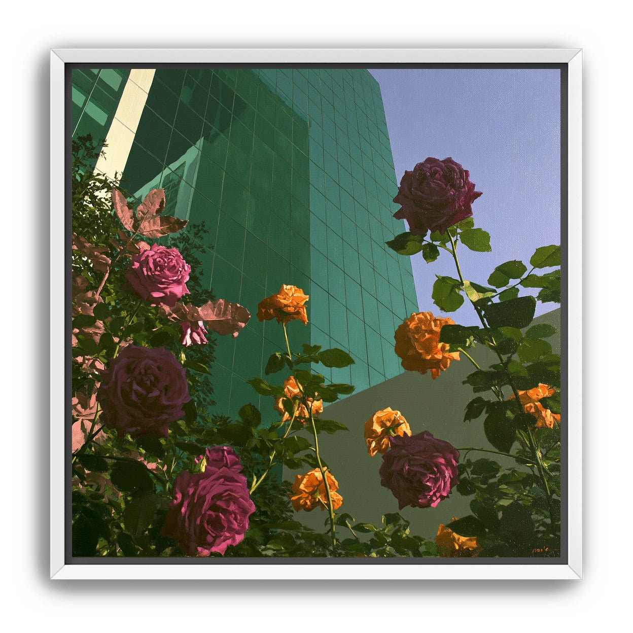Roses climbing the glass wall