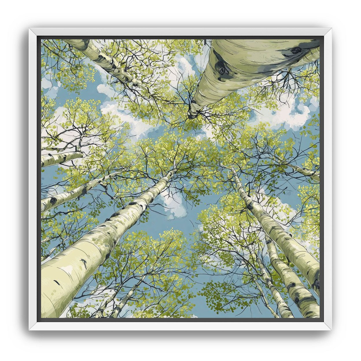 Aspen Canopy I