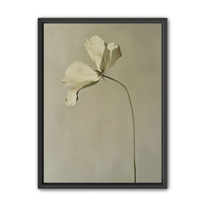 Cream petals in gray green air