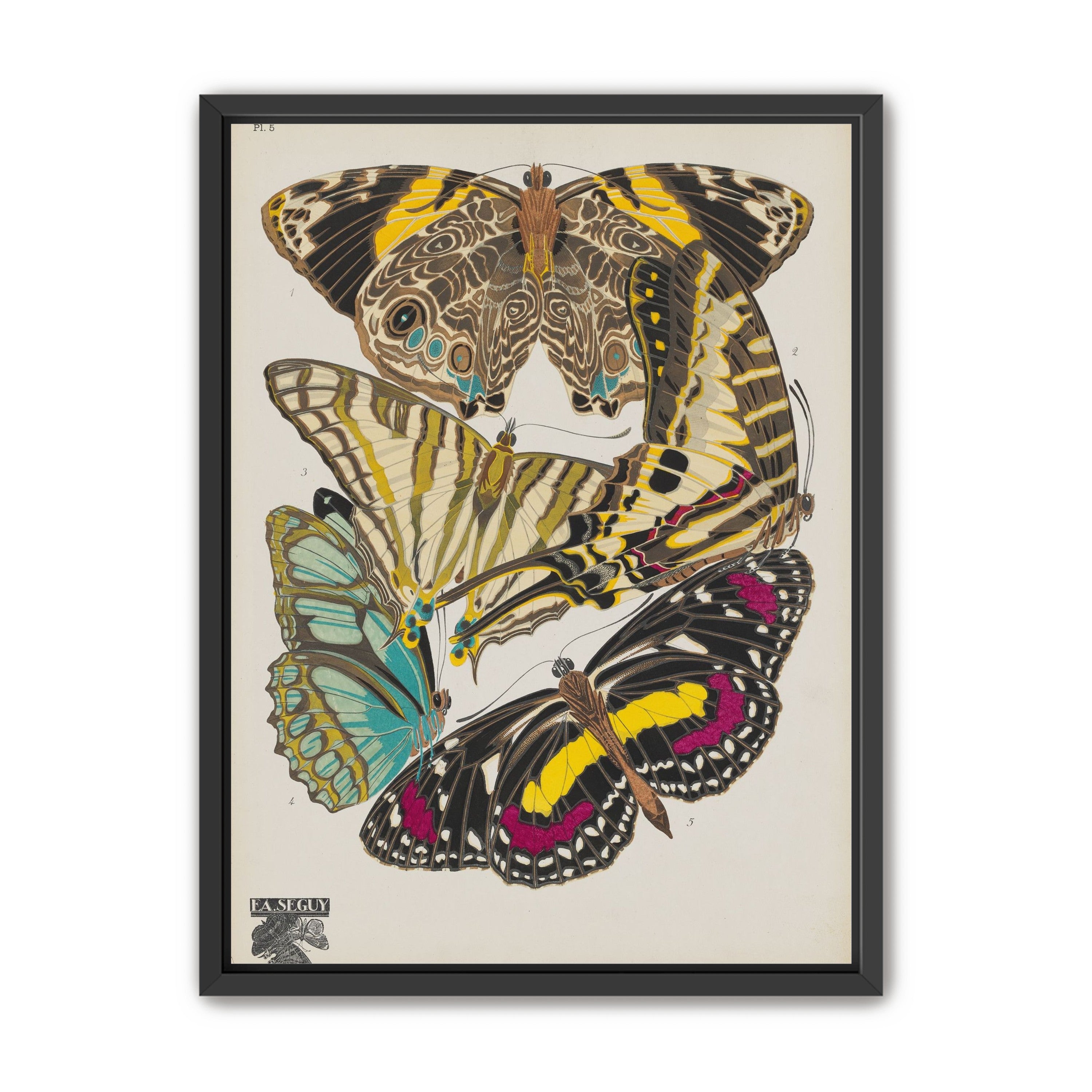Butterflies among blank paper