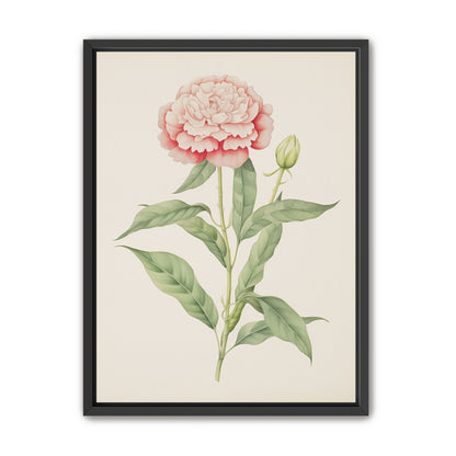 Delicate Blush