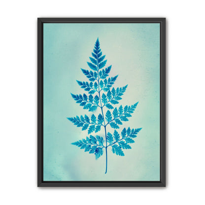 stems and leaves