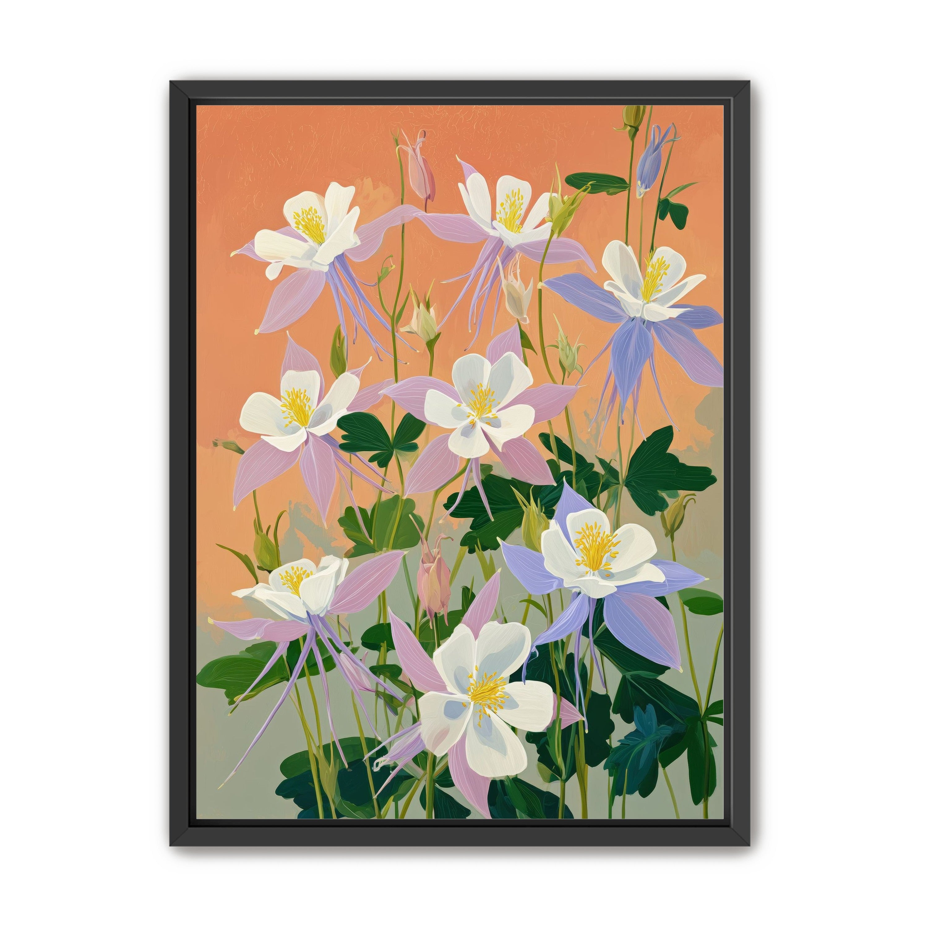 Columbines in Bloom