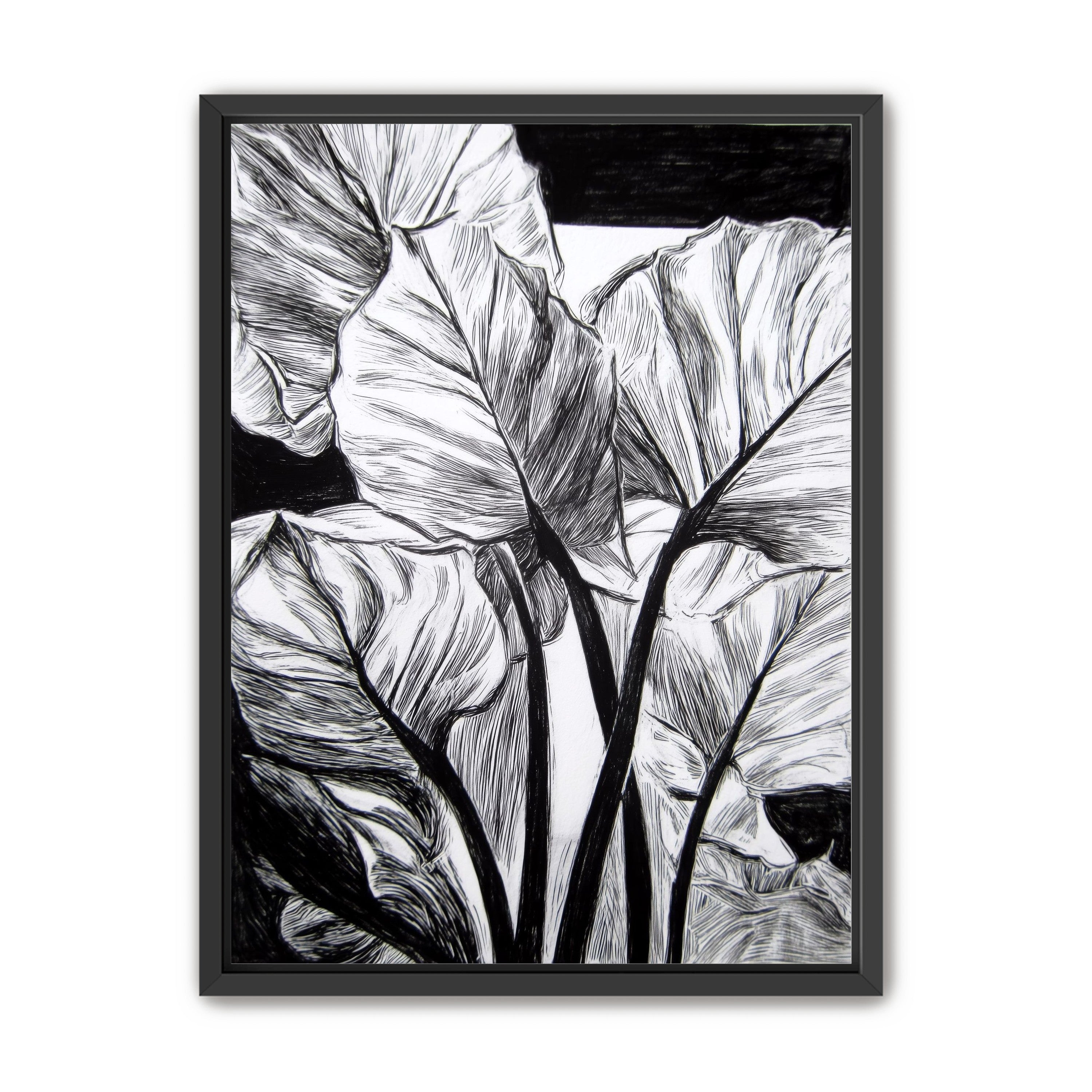 Overlapping Leaves on Dark Ground