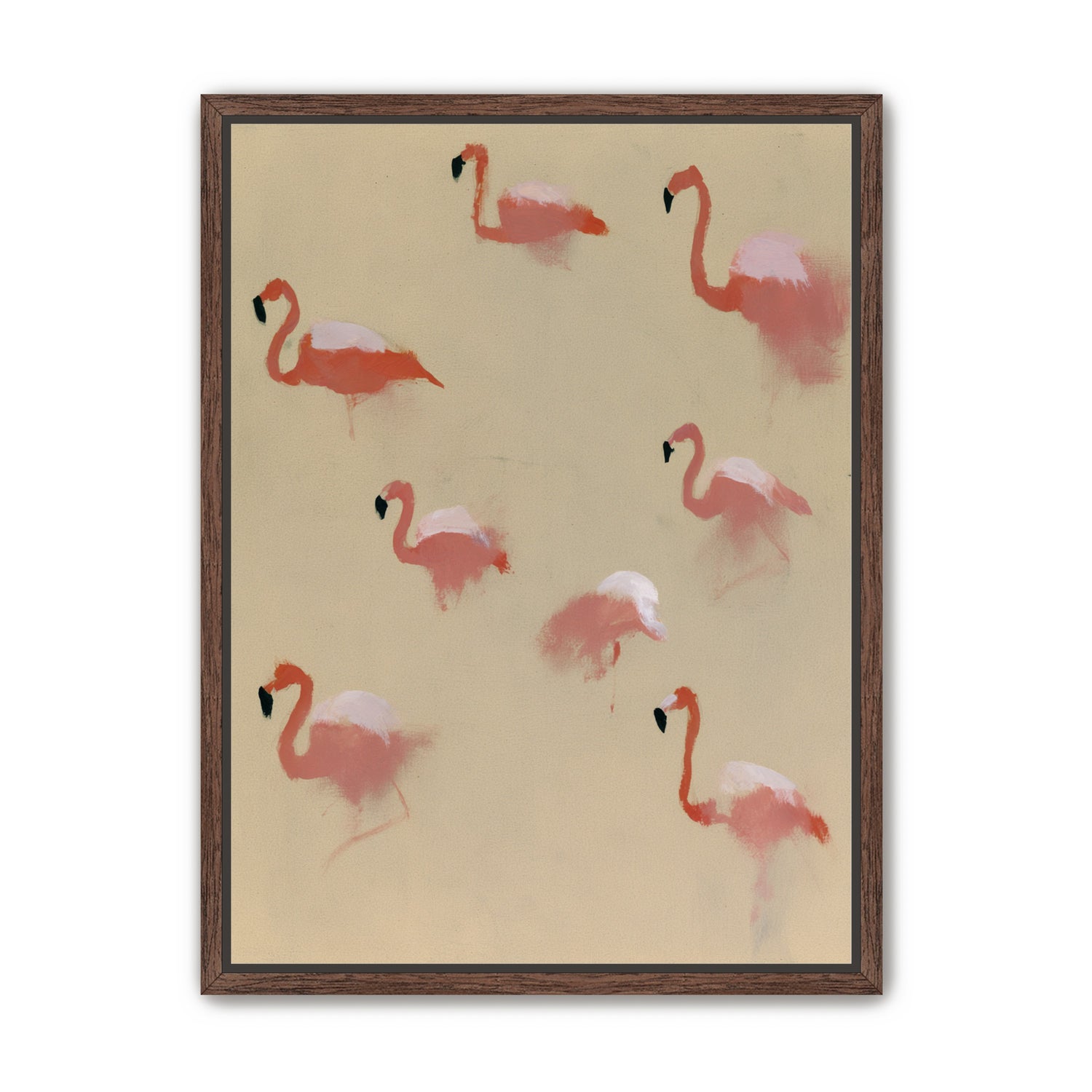 Flamingos in quiet drift