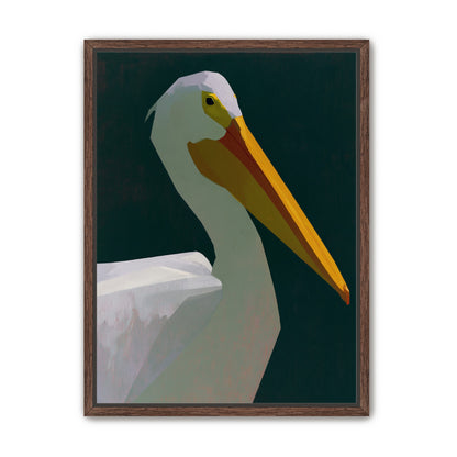 White pelican in deep green