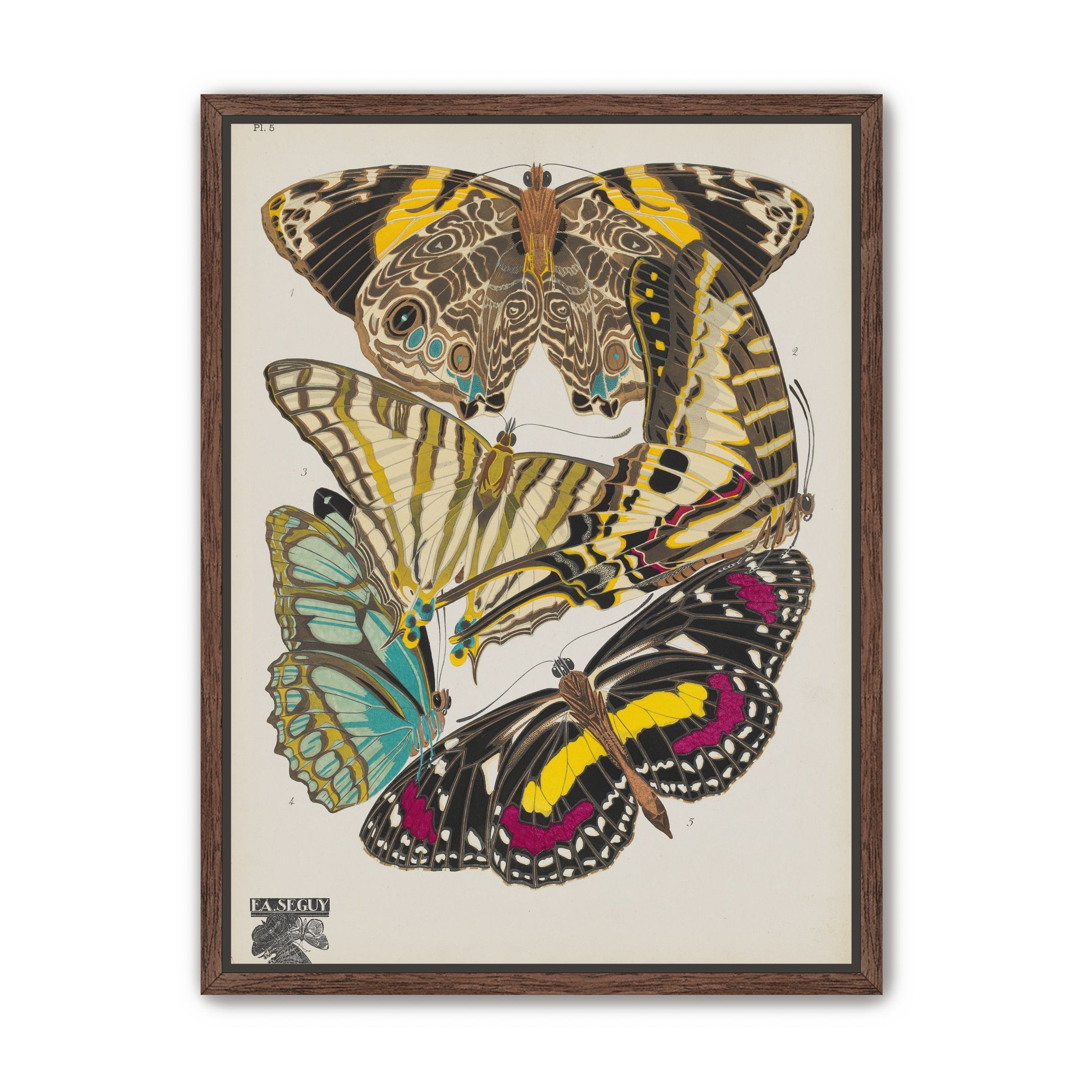 Butterflies among blank paper