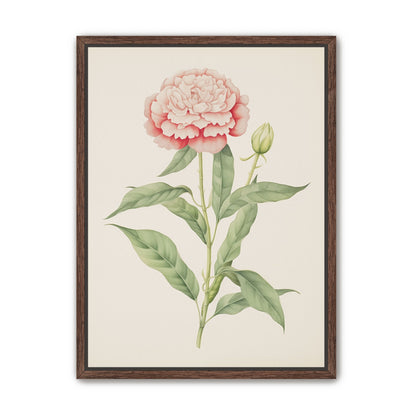 Delicate Blush
