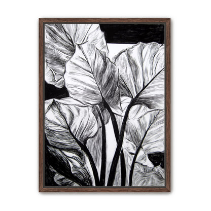 Overlapping Leaves on Dark Ground