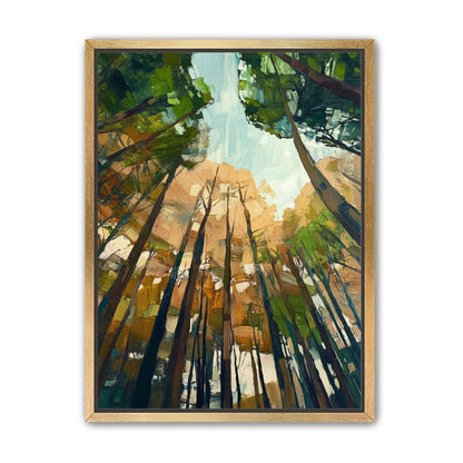 Canopy Lightfall