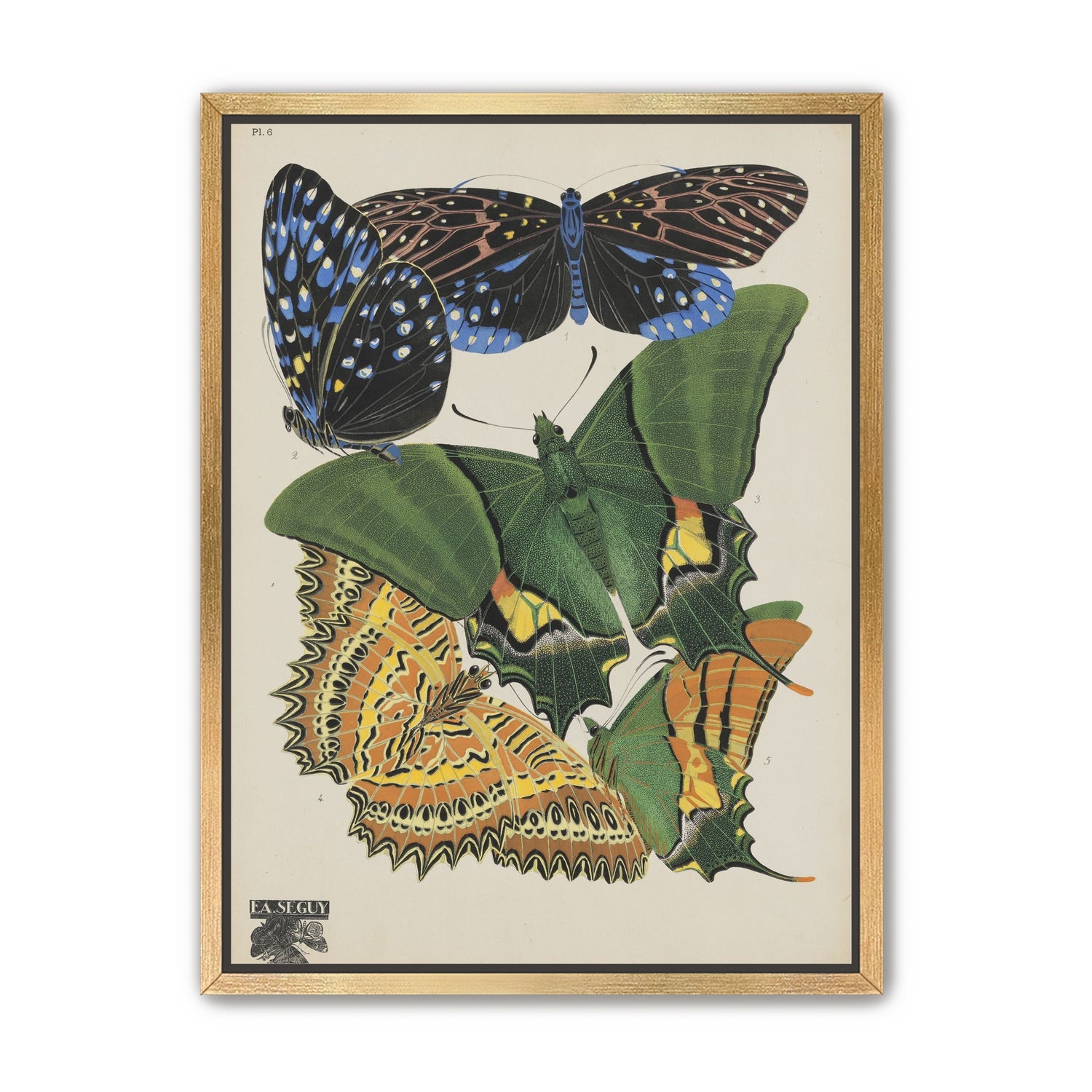 Butterflies on a pale plate