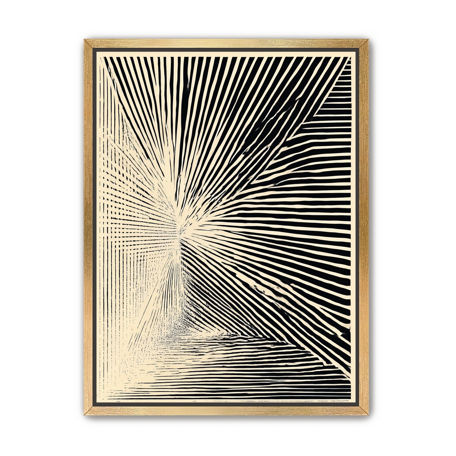 Convergence within black stripes