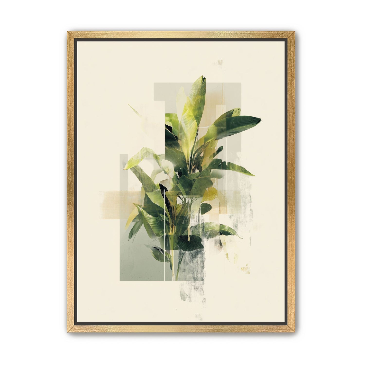 Plant in layered light
