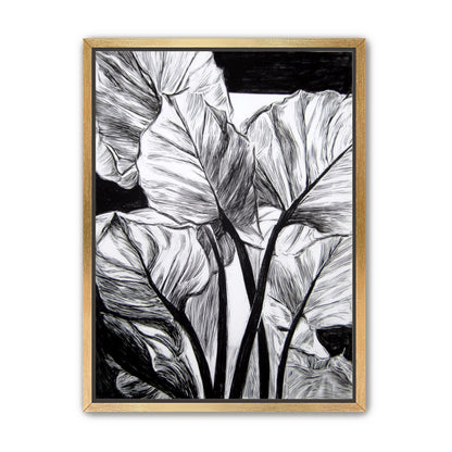 Overlapping Leaves on Dark Ground