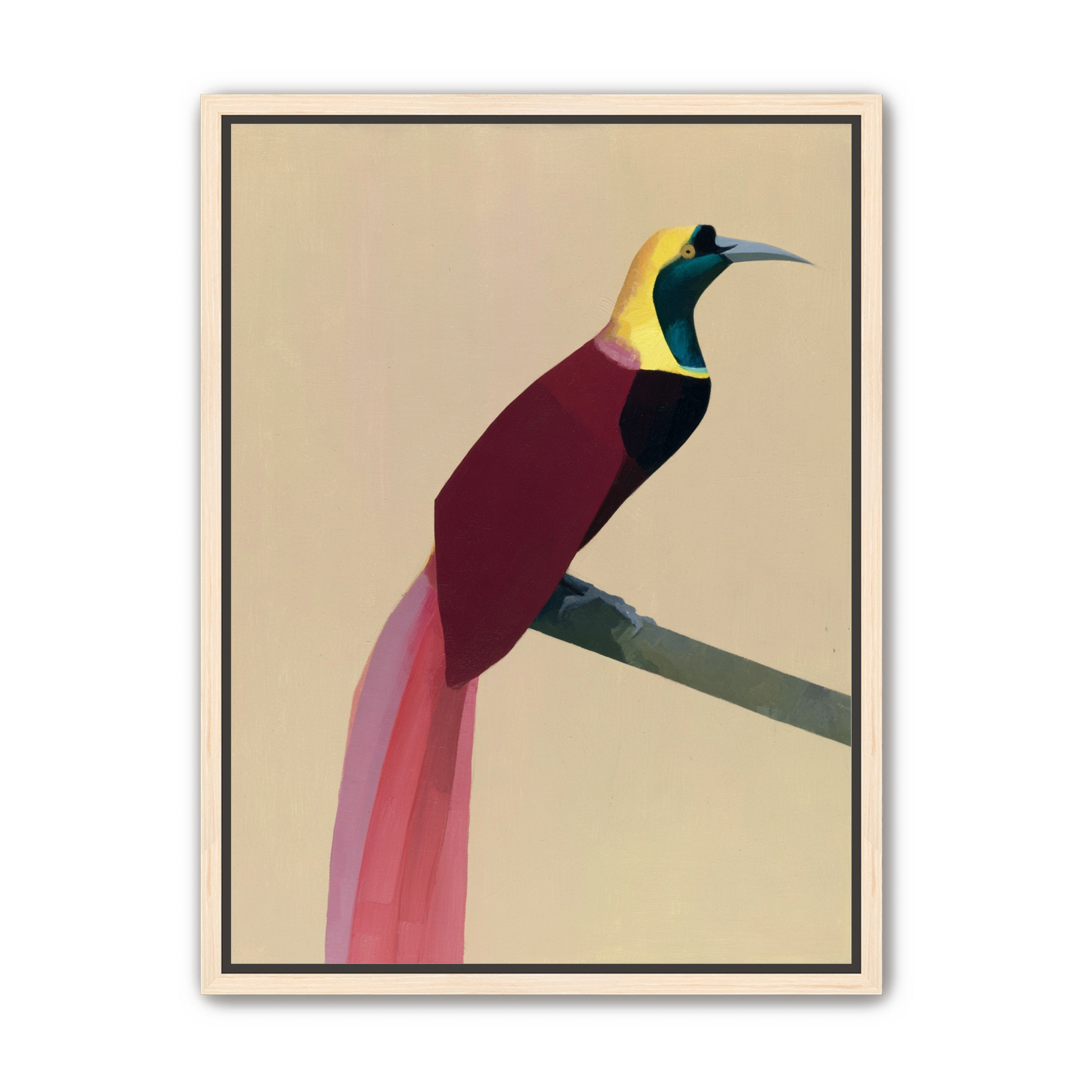 A bright bird on a branch