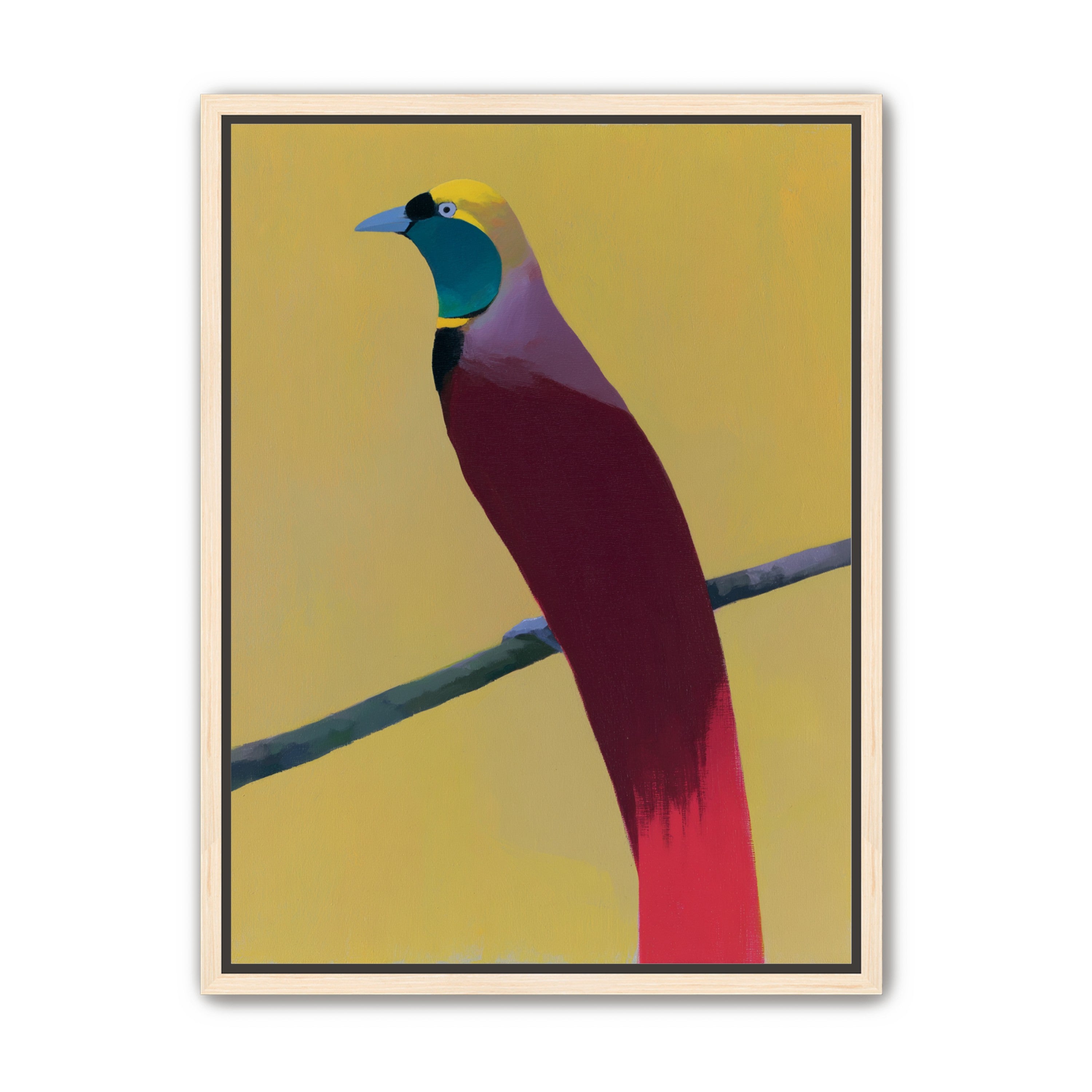 A bright bird on yellow