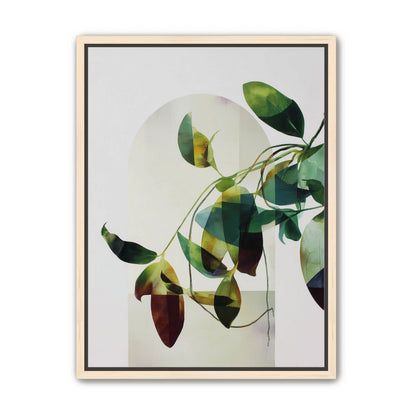 Leaves in a pale halo