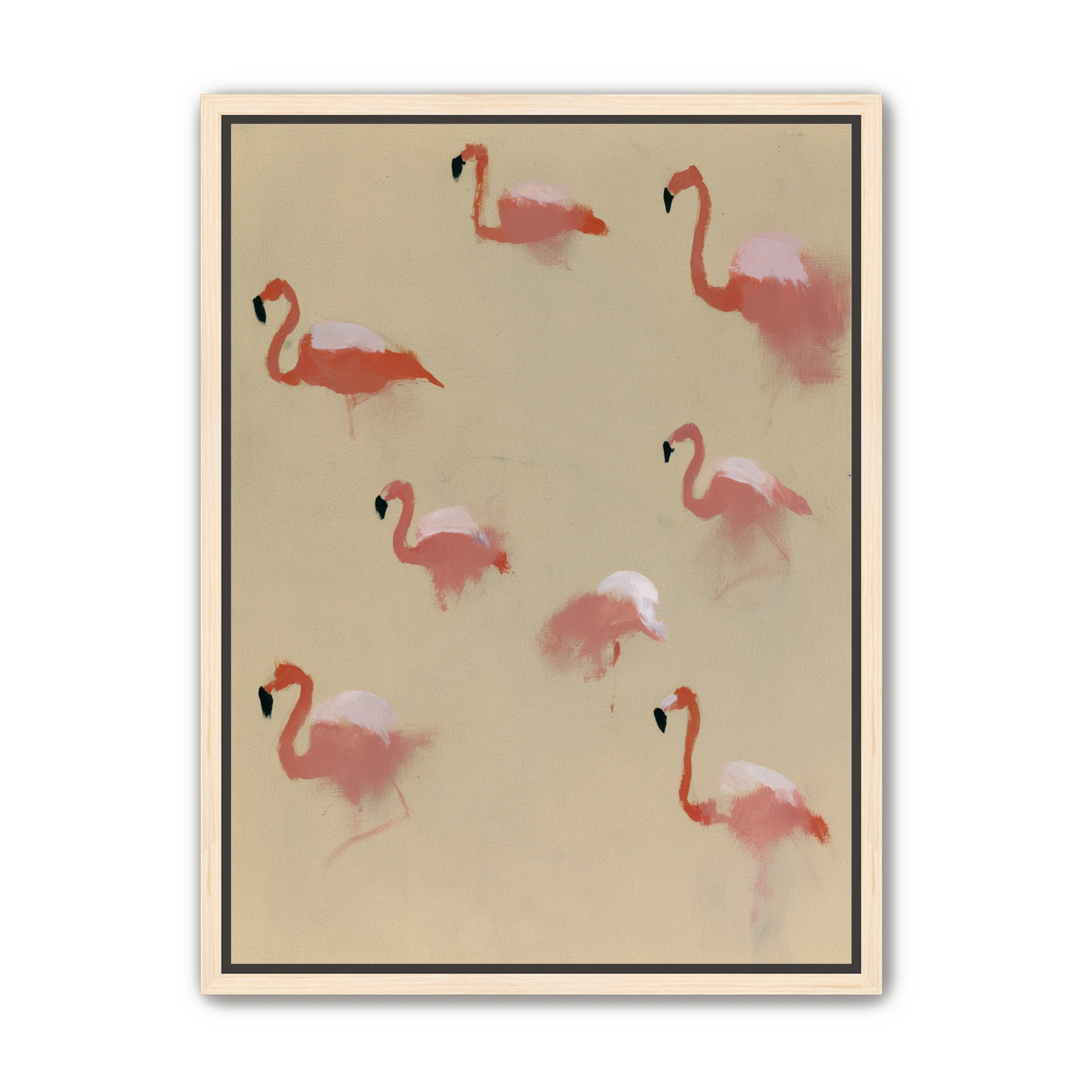 Flamingos in quiet drift