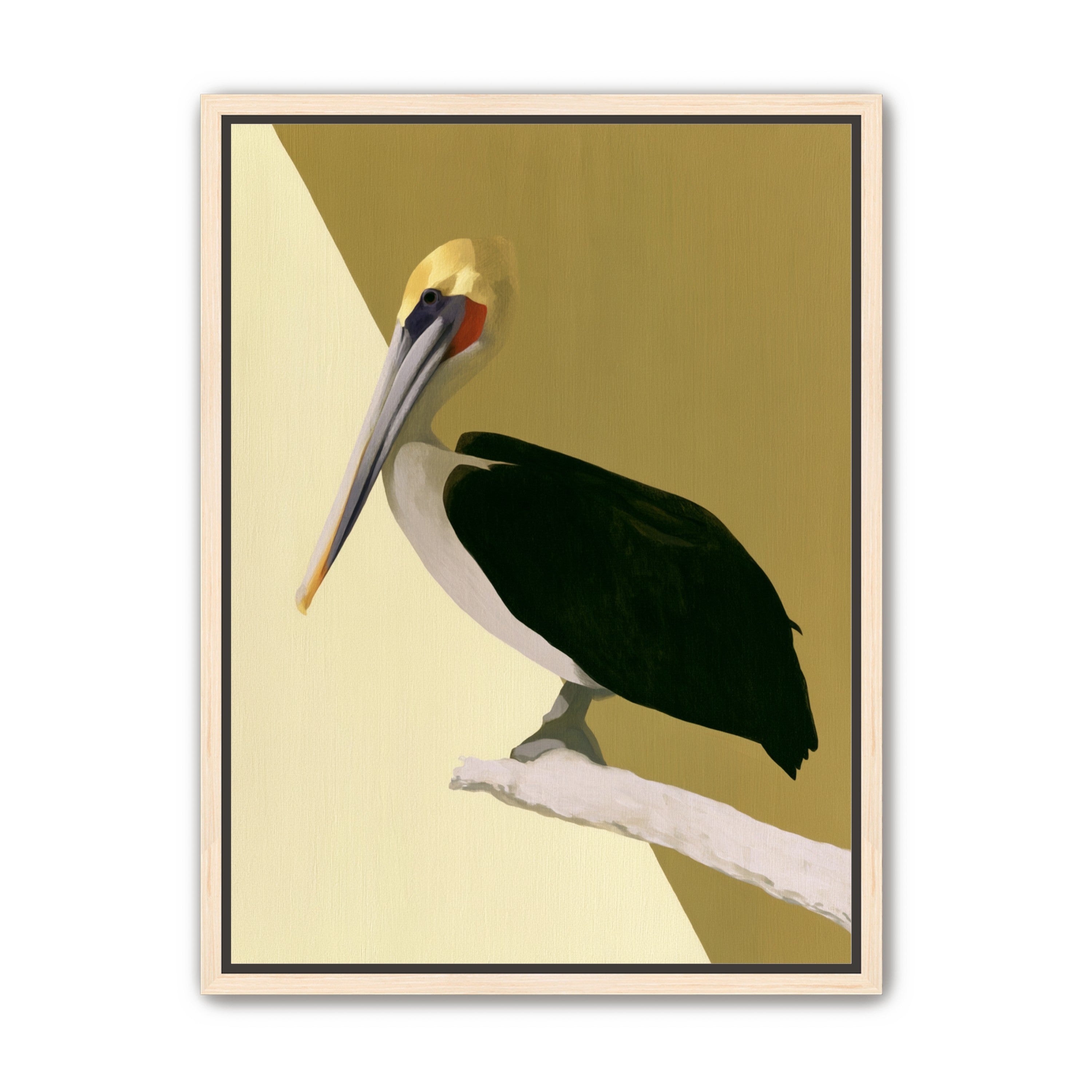Pelican in quiet balance