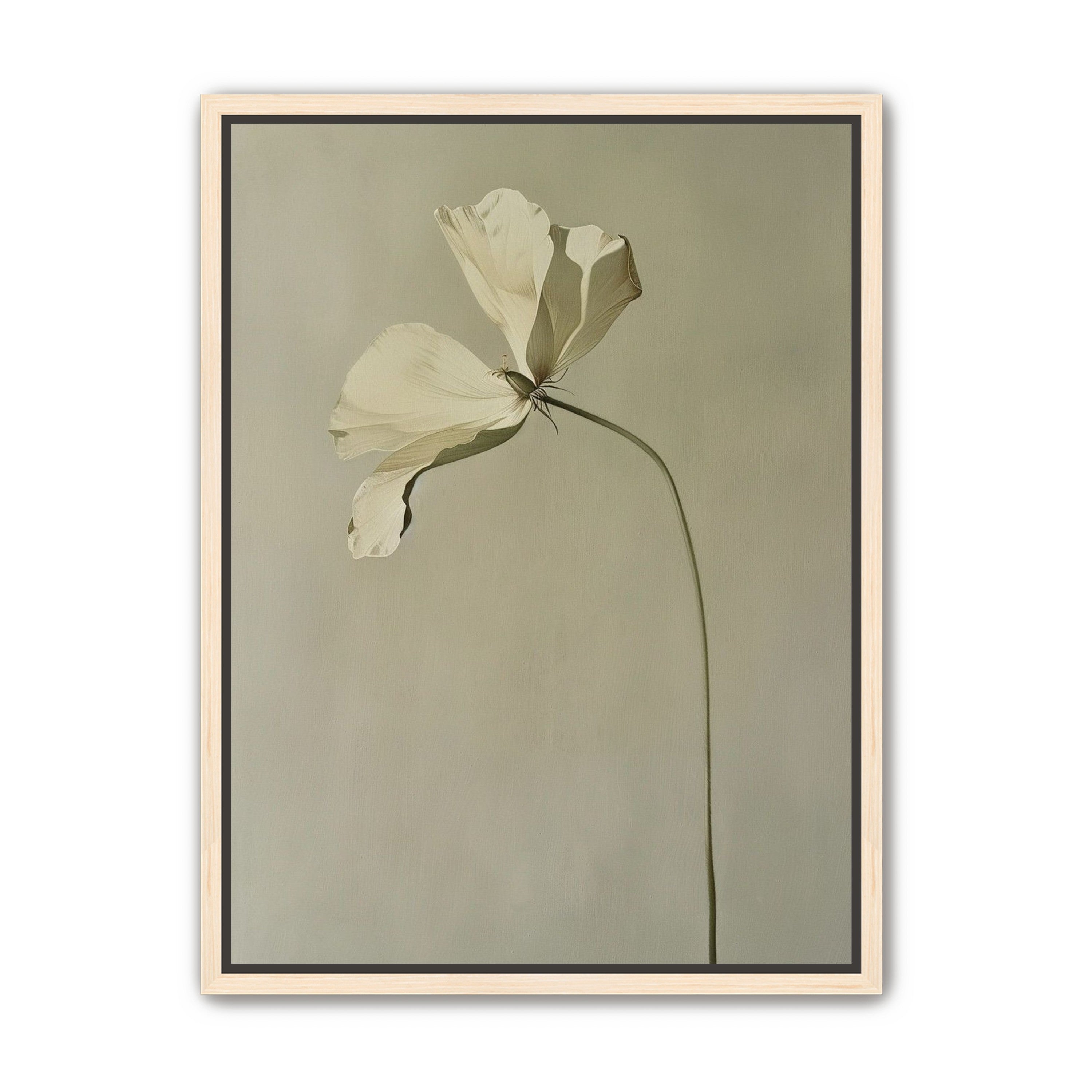 Cream petals in gray green air