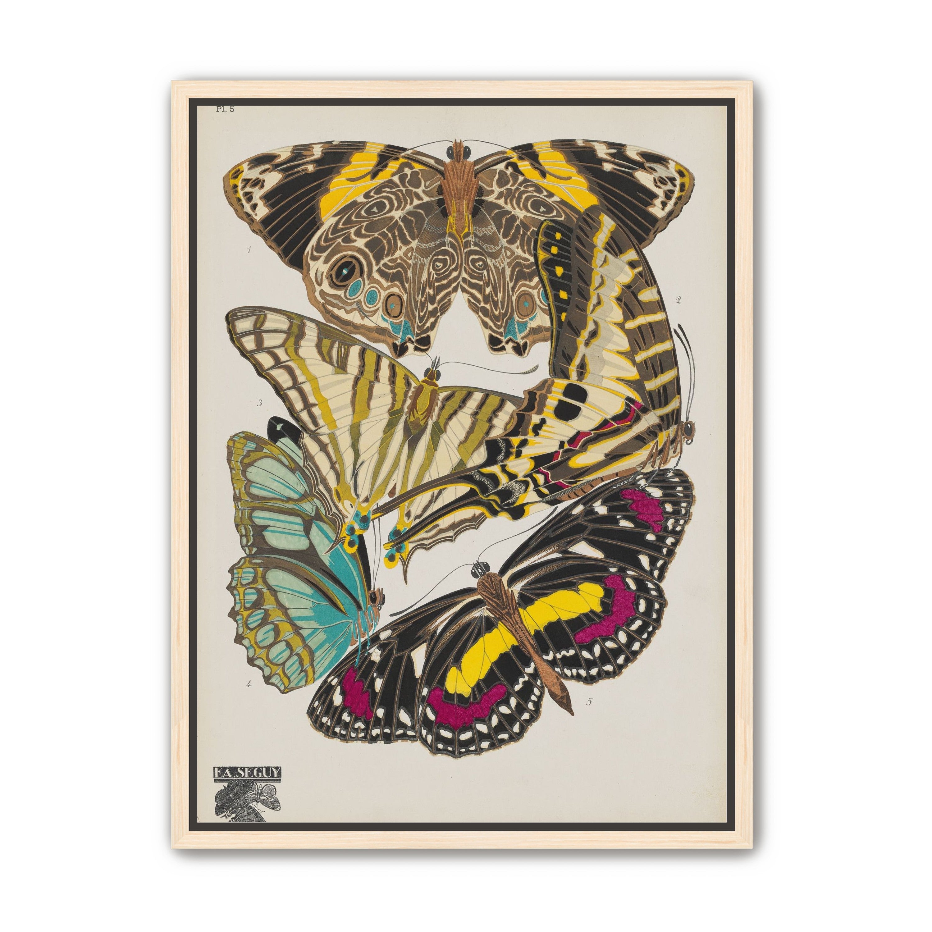 Butterflies among blank paper