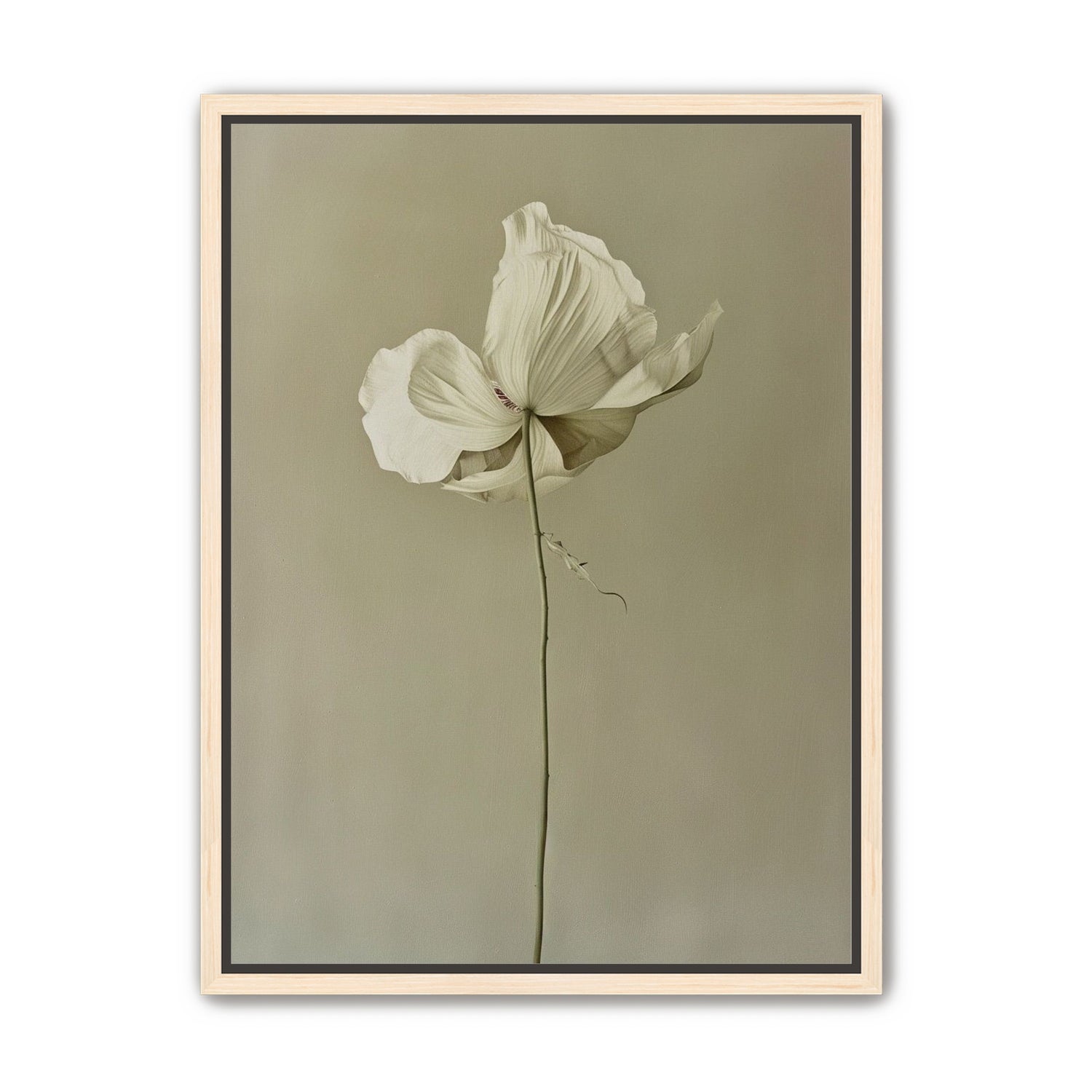 Ivory bloom in gray air