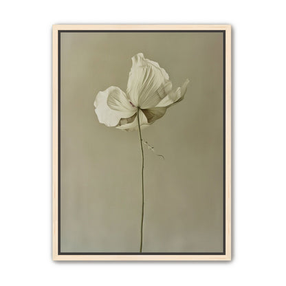 Ivory bloom in gray air