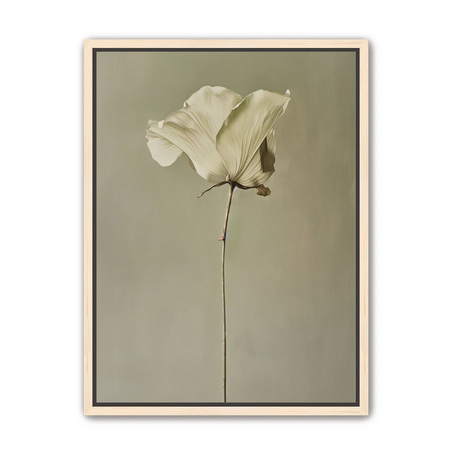 One flower and its hush