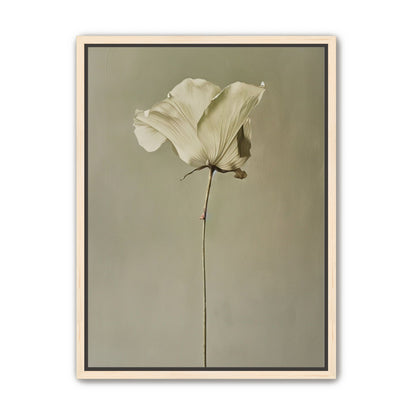 One flower and its hush